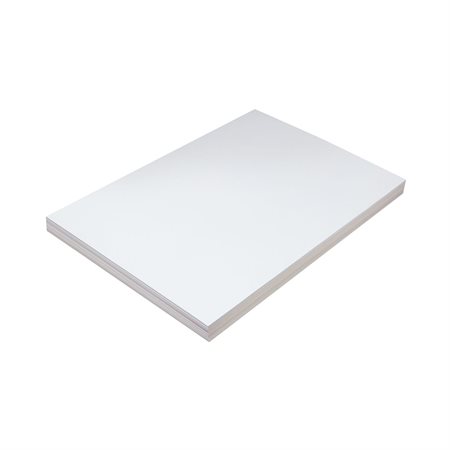 PACON 5284 WHITE TAG 250M12" X 18" (100)