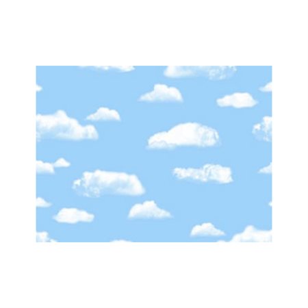 FADELESS PAPER ROLLS CLOUDS48"X50'