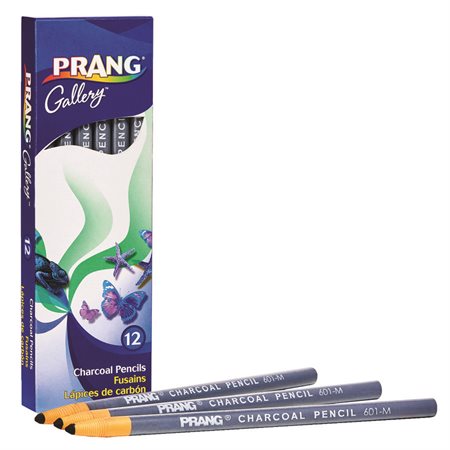 COMPRESSED CHARCOAL STICKS VINE (12)