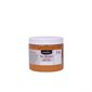 HEAVY BODY ACRYLIC RAW SIENNA 16 OZ