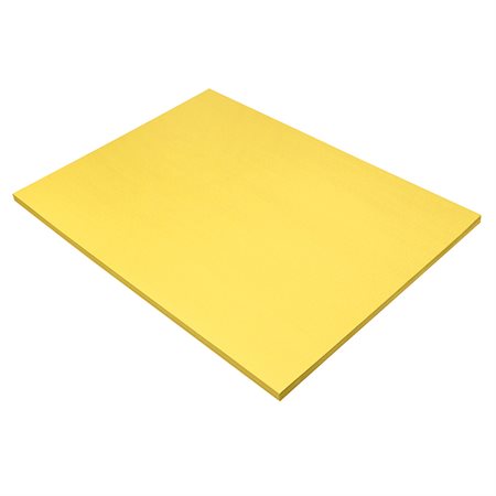 YELLOW CONSTRUCTION PAPER18" X 24" (50)