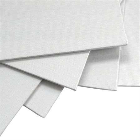 SCHOOL SOURCE CANVAS BOARD 8 X 10