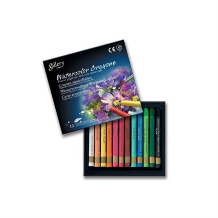 WATERCOLOUR CRAYONS (12)
