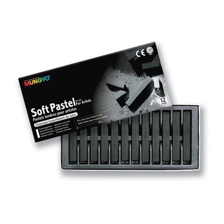 CHARCOAL STICKS BLACK (12)