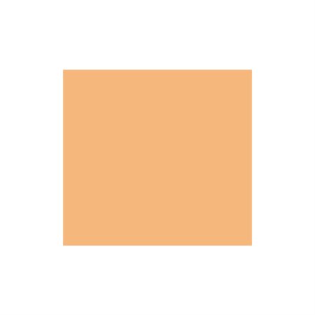 PEACH TISSUE PAPER20"X30" (24)