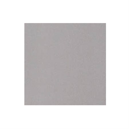 SILVER TISSUE PAPER20"X30" (24)