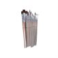 WATERCOLOR PAINT BRUSHES (12)