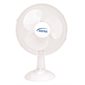 Oscillating Desk Fan