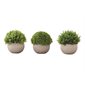 Artificial Plant Pot