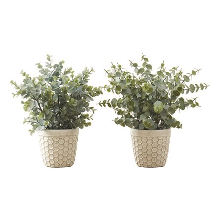 Artificial Eucalyptus in White Pot