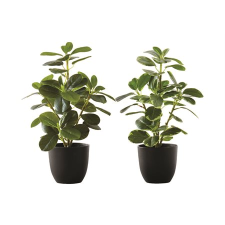 Artificial Plant - Ficus Elastica