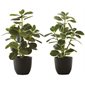 Plant de ficus elastica artificielle