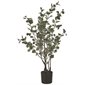 Plant d'eucalyptus artificielle