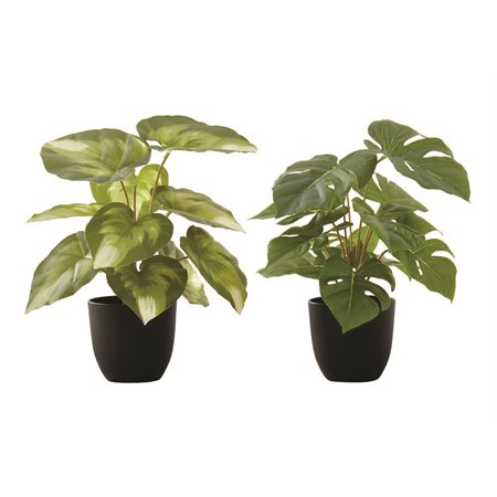 Plante de monstera / calathea articielle