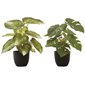 Artificial Plant - Monstera / Calathea