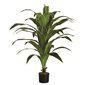 Plant de dracaena artificielle