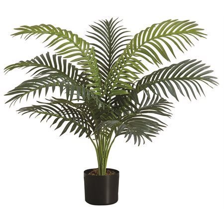 PLANTE ART.PALMIER INTERIEUR
