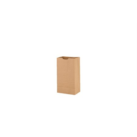 Kraft Paper Bag