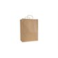Twisted Paper Handle Bags