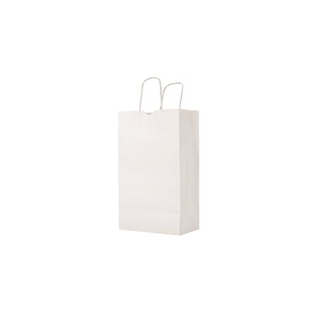 Twisted Paper Handle Bags