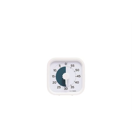 TIMER PRO 60 MIN.WH