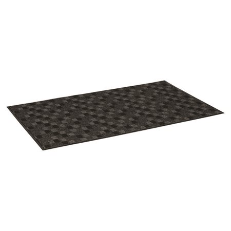 TAPIS ENTR.TERRA NOVA 4X6'CH