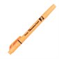 Dual-Tipped Highlighter