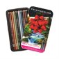 Premier Landscape Coloured Pencil Set