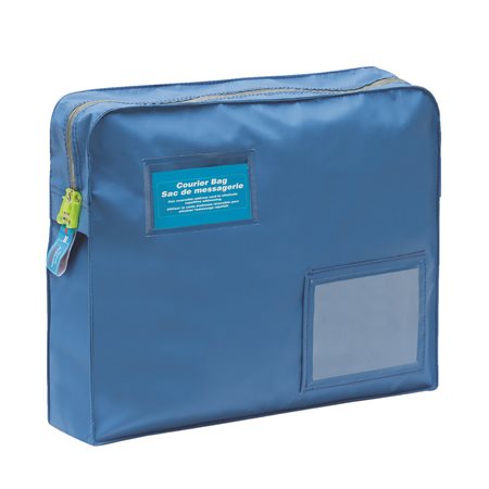 Securisac Security Bag