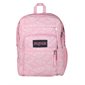 Big Student Backpack