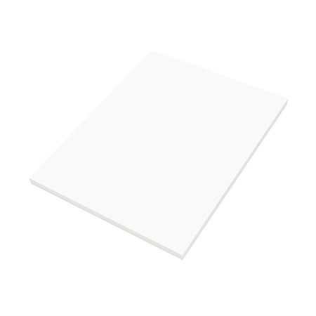 LEGAL TRIAL BACK 11" BC