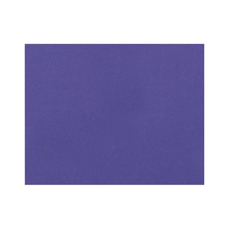 PACON RAILROAD BOARD PURP