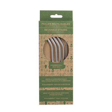 PAILLES INOX AVEC BROSSE 4PCS