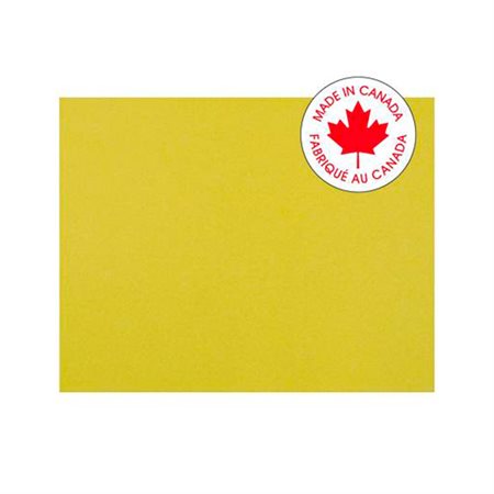 CARTON AFFICHES PACON 22X28 JN