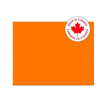 POSTER PACON 22X28 ORANGE