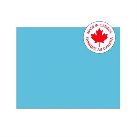 RAILROAD POSTER 4 22X28" 25 / PK