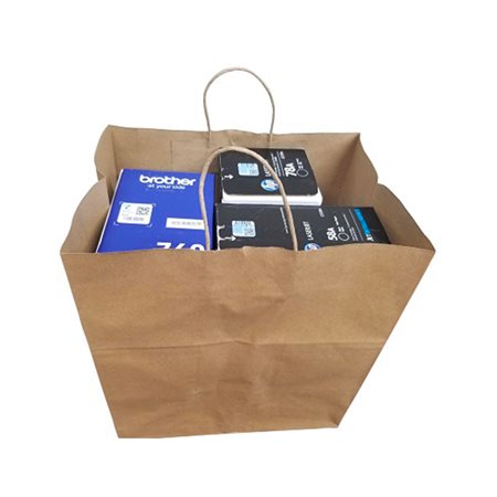 BAG PAPER 14X10X15.5 ROPE HDL