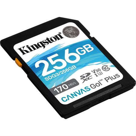 CARTE MICRO SD MKINGSTON CANVA GO! PLUS 256GB