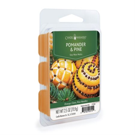 Cubes de cire fondants - Pomander & Pine